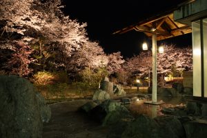 森の湯(露天・夜桜）