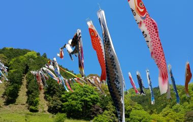 鯉のぼり谷渡し開催中