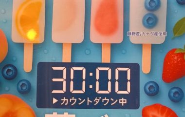 ふじのねより新商品販売のお知らせ